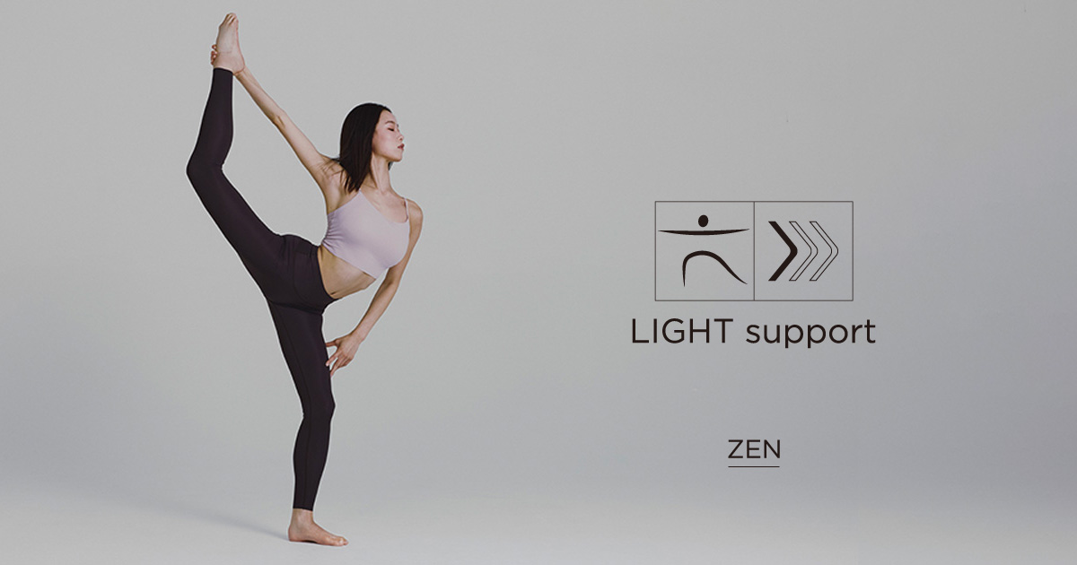 ZEN series イメージ