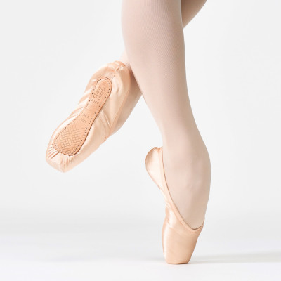 ヨーロピアンピンク Ｃ・Ｍ・22.5 の画像