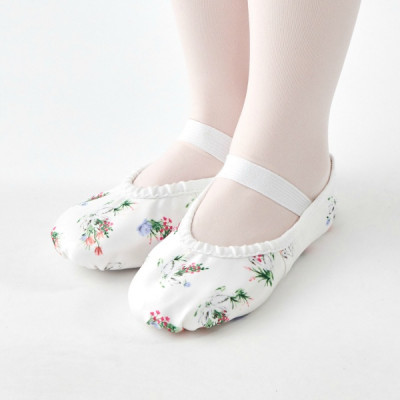 ホワイトＰＴ 19.0 の画像