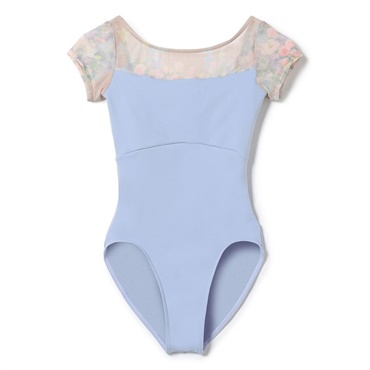 スカイブループリント 140 の画像