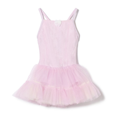 アイリス 120 の画像