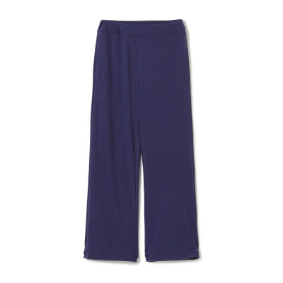 シオン 120 の画像