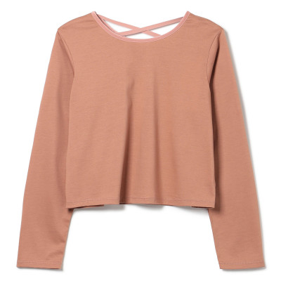 テラコッタ M の画像