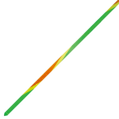 マスカット 6.0m の画像