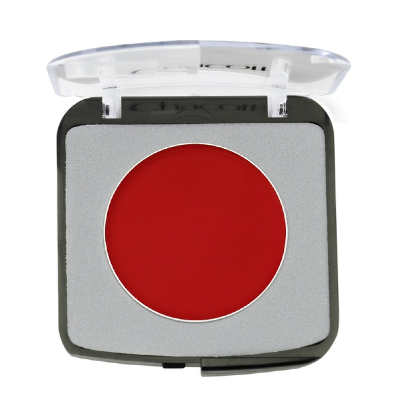 □ヴァリエペイント　ライニングシリーズ　　509（レッド）(レッド-4g)