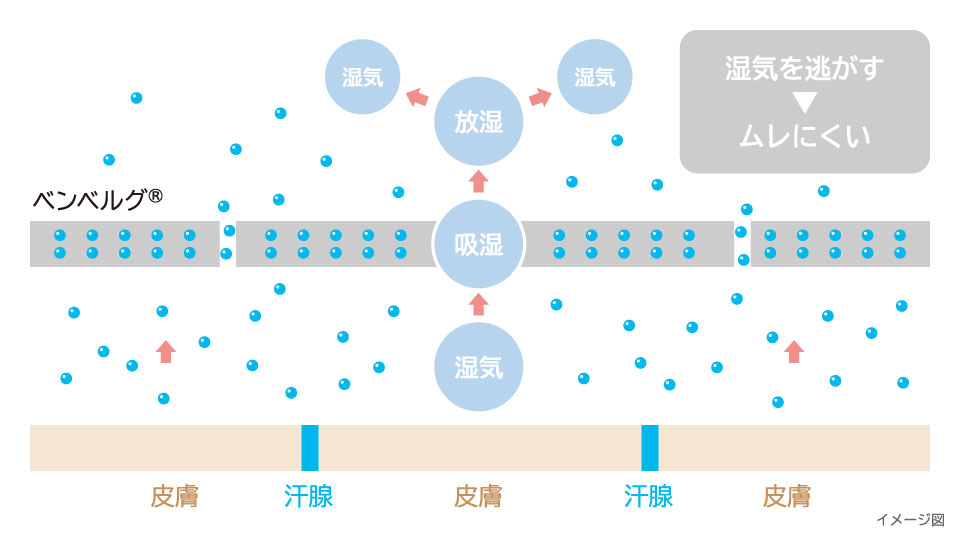 「ムレ」を抑える吸放湿性（ベンベルグ®素材の特長）