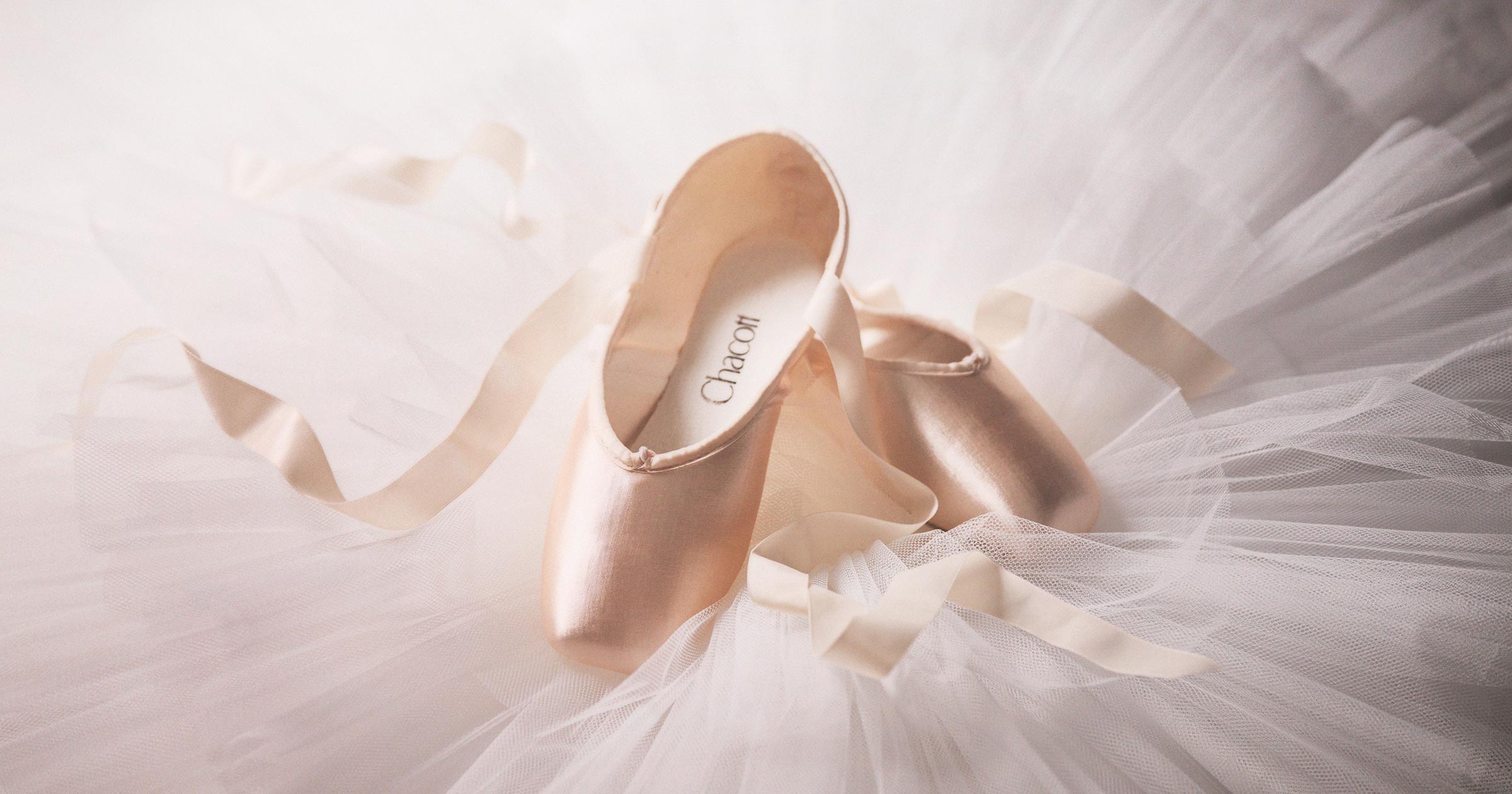 もっと美しく踊りたい。ダンサーの想いと、進みつづける。